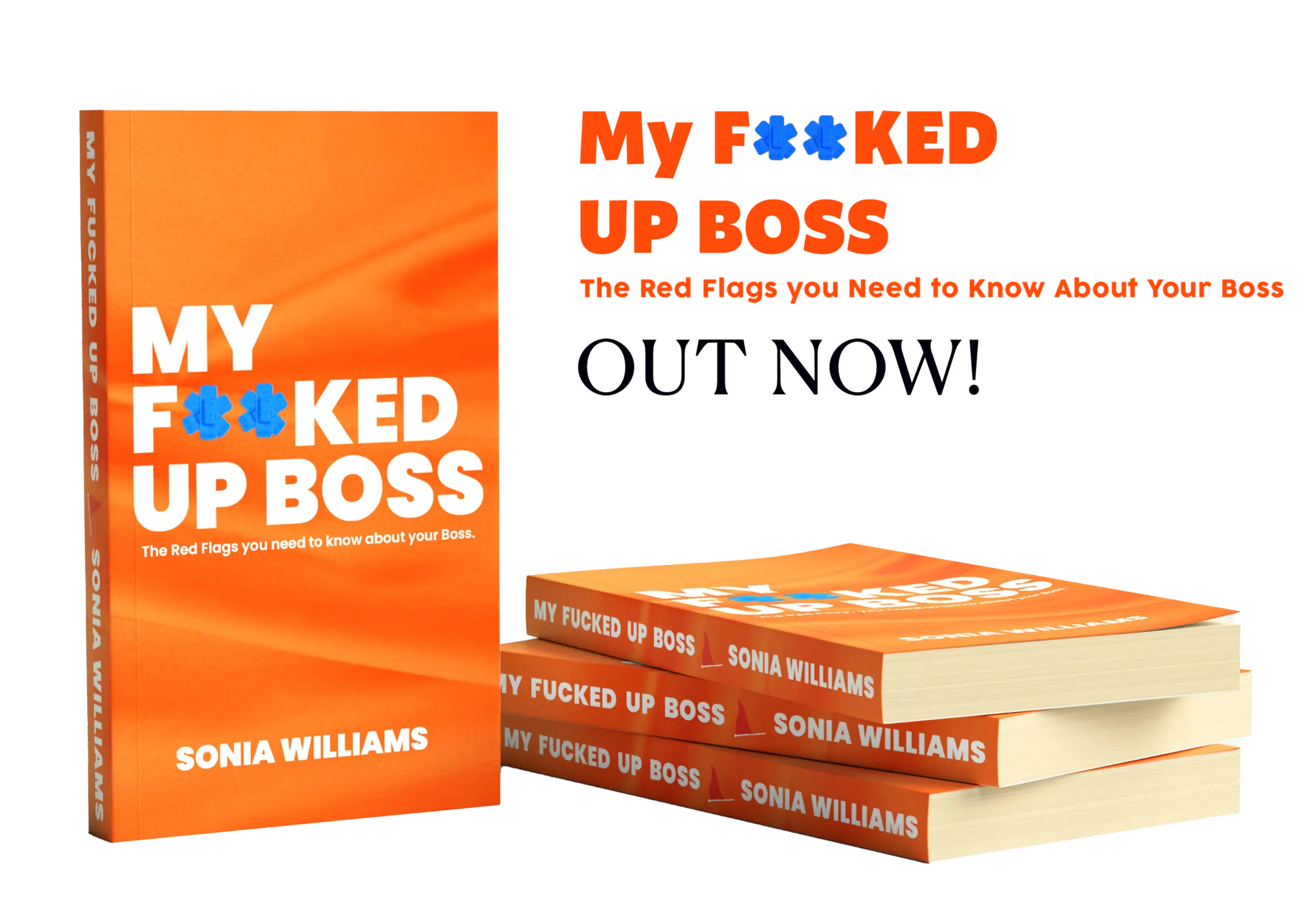 My Fucked Up Boss. THe red flags you need to know about your boss. Out Now!